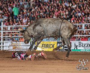 Image post by @bullfightersonly on Instagram