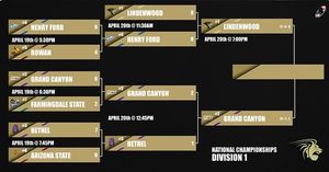 Image post by @lu_rollerhockey on Instagram