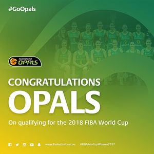 Image post by @basketballaus on Instagram