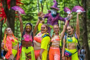 Image post by @electric_forest on Instagram