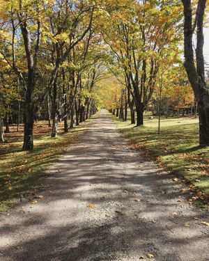 Image post by @themainemag on Instagram