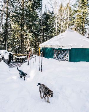 Image post by @themainemag on Instagram