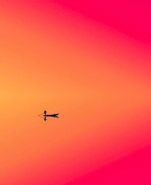 Image post by @fubiz on Instagram
