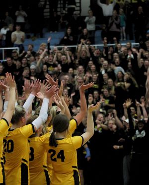 Image post by @gustieathletics on Instagram
