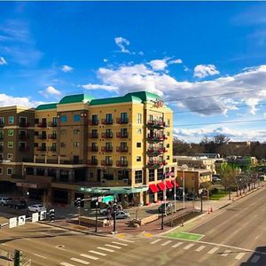 Image post by @hellomeridian on Instagram