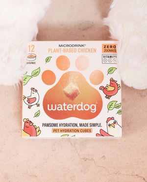 Image post by @waterdrop on Instagram