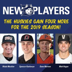 Image post by @duluthhuskies on Instagram