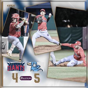 Image post by @adelaidegiants on Instagram