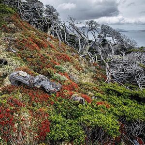 Image post by @natgeo on Instagram