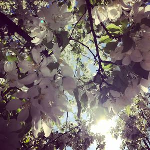 Image post by @fargoparks on Instagram