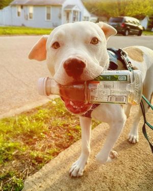 Image post by @goldpeak on Instagram