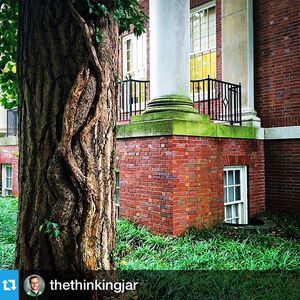 Image post by @vanderbiltu on Instagram