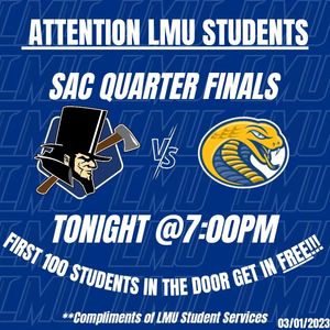 Image post by @lmurailsplitters on Instagram