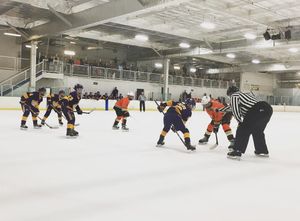 Image post by @the_rinks on Instagram