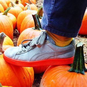 Image post by @puma on Instagram