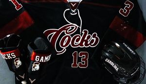 Image post by @verberohockey on Instagram