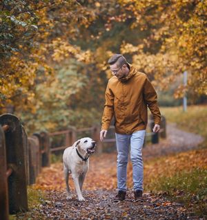 Image post by @triumphpetfood on Instagram