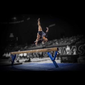Image post by @beavergym on Instagram