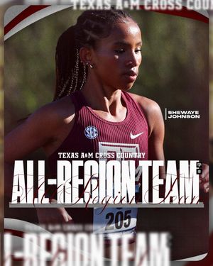 Image post by @aggietfxc on Twitter