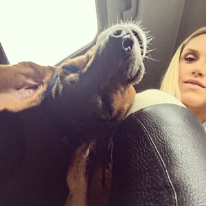 Image post by @laraleatrump on Instagram