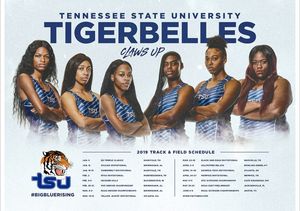 Image post by @tsutigers on Instagram
