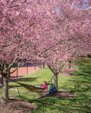 Image post by @udelaware on Instagram