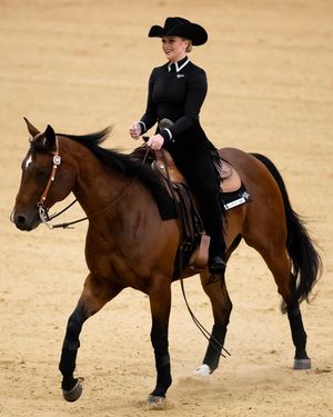 Image post by @aggieequestrian on Instagram