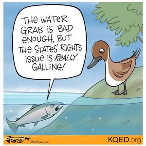 Image post by @kqed on Instagram