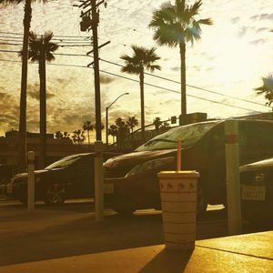 Image post by @hofstrau on Instagram