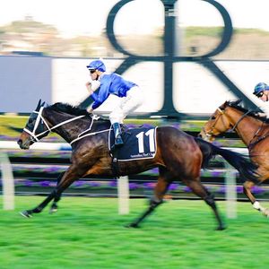 Image post by @australianturfclub on Instagram