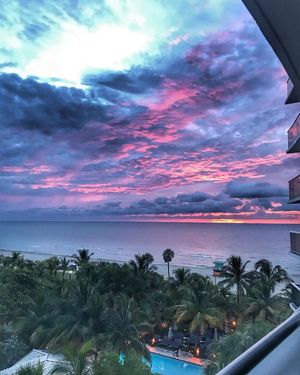 Image post by @theconfidante on Instagram