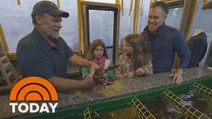 Video post by @today on YouTube