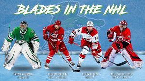 Image post by @fl_everblades on Instagram