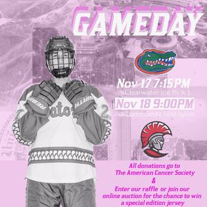 Image post by @ufhockey on Instagram