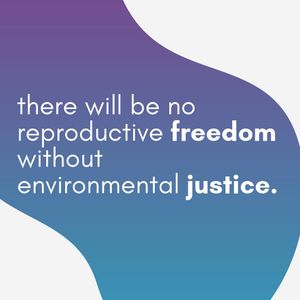 Image post by @reproforallga on Instagram