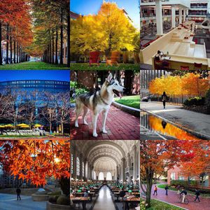 Image post by @northeastern on Instagram