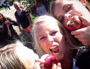 Image post by @dartmouthsoftball on Instagram
