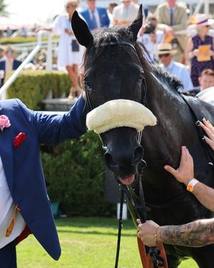 Image post by @worldhorseracing on Instagram