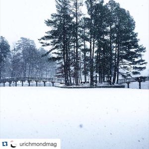 Image post by @spiderathletics on Instagram