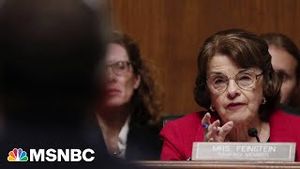 Video post by @msnbc on YouTube