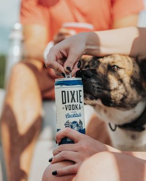 Image post by @dixievodka on Instagram