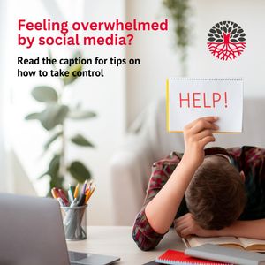 Image post by @redrootmarketing on Instagram