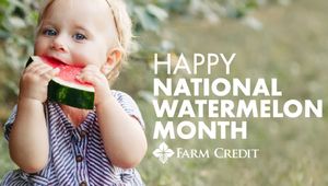 Image post by @farmcredit on Instagram