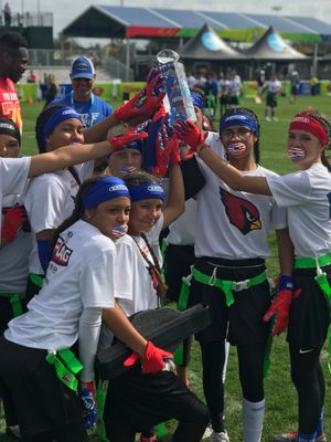 Image post by @NFLFLAG on Twitter