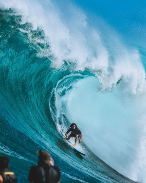 Image post by @wsloneocean on Instagram