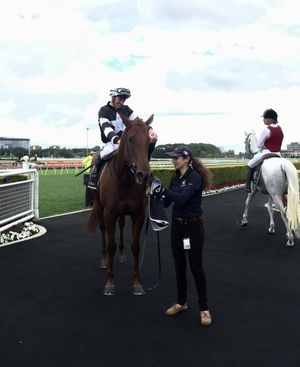 Image post by @australianturfclub on Instagram