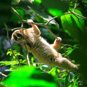 Image post by @animalplanet on Instagram