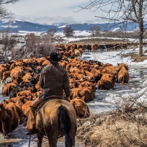 Image post by @schaeferoutfitter on Instagram
