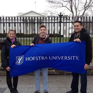 Image post by @hofstrau on Instagram