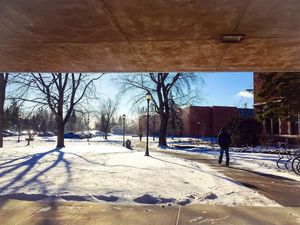 Image post by @uw_superior on Instagram